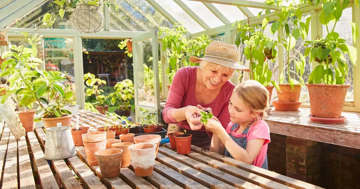 10 Hobbies for Seniors to Try After 60